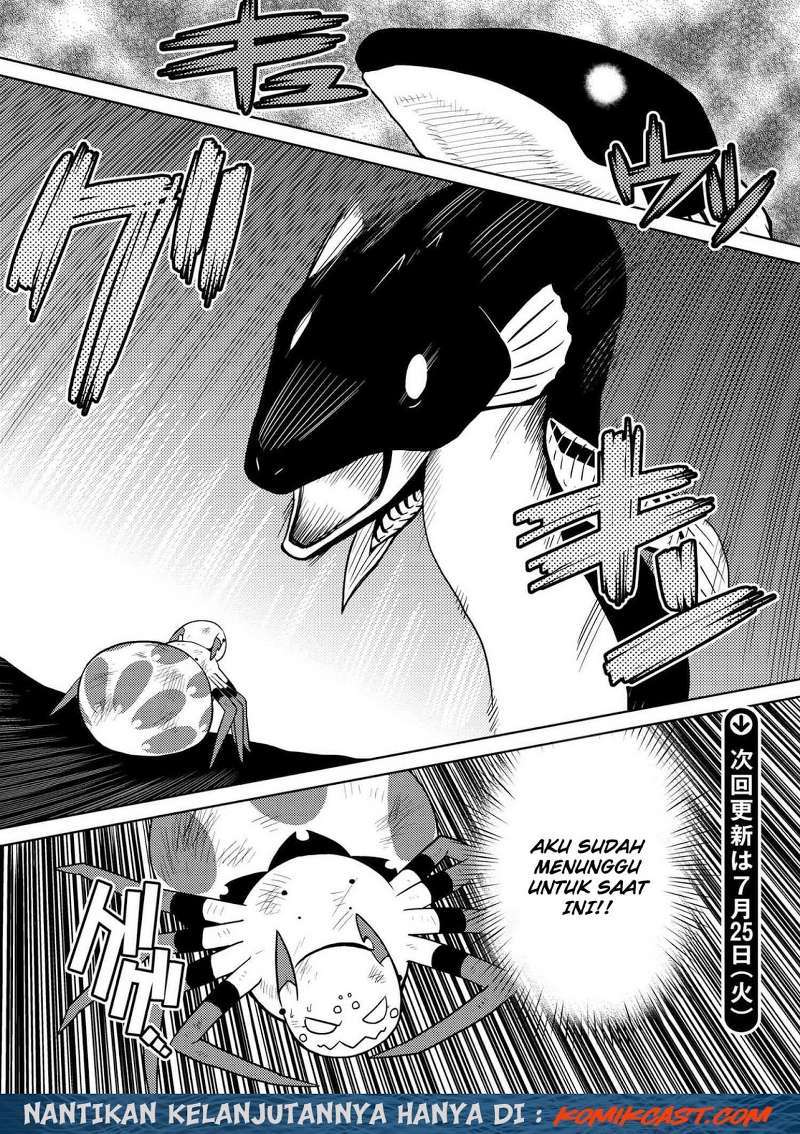 Kumo desu ga, Nani Ka?